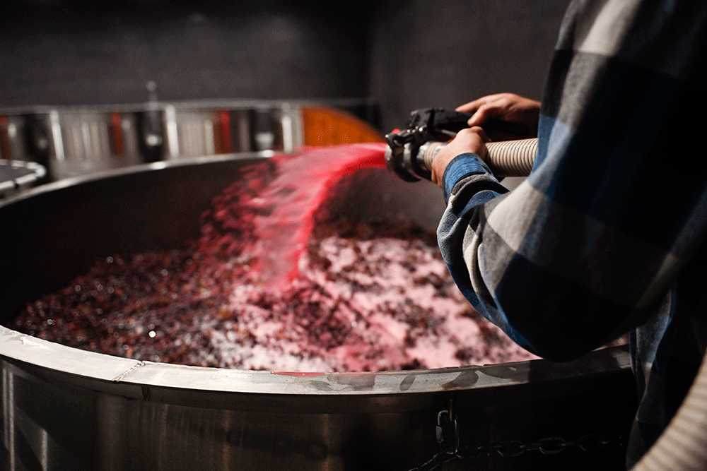 Benton-Lane Winery photo 11